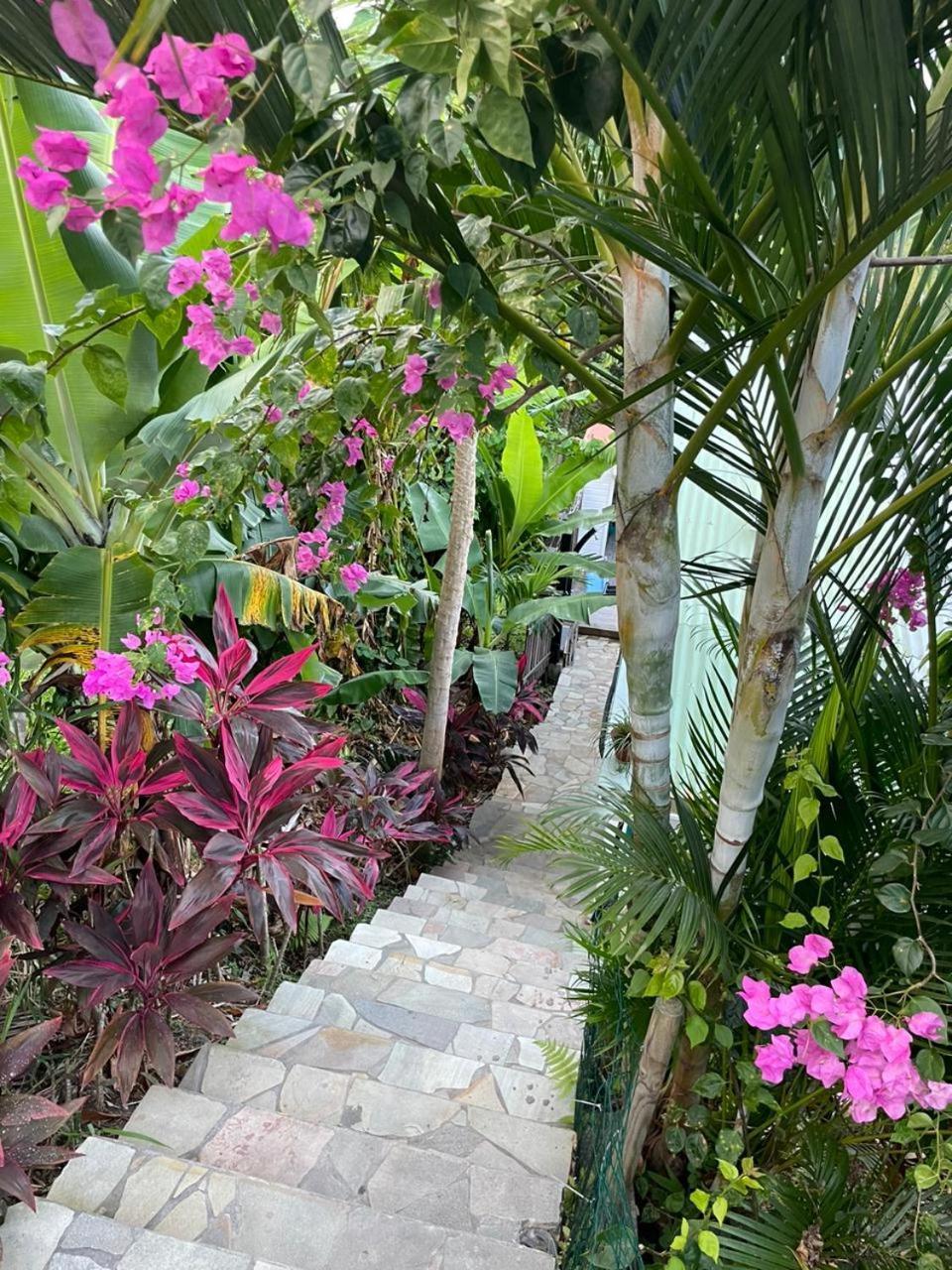 La Casita Ilohe Villa Riviere-Salee Exteriör bild